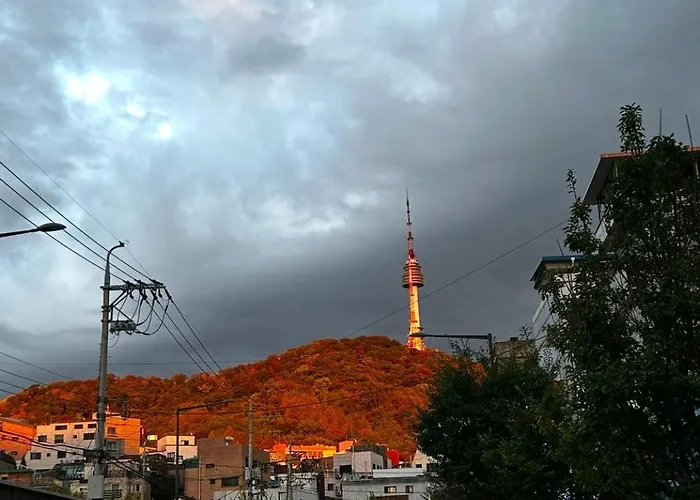 팔레트 후암 The Palette Huam